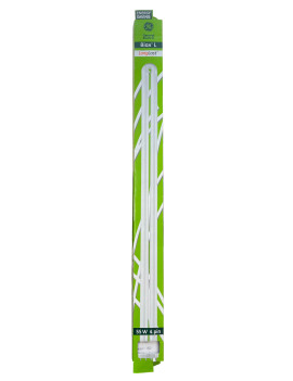 GE tubo 2G11 55W 4 pin BIAX L