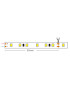 Tira LED APOLO 220V 16W/m IP65 Ancho 12mm Corte cada 5 cm -AXOLED-